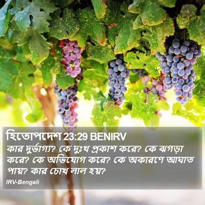 হিতোপদেশ 23:29 BENIRV Bible Verse Image