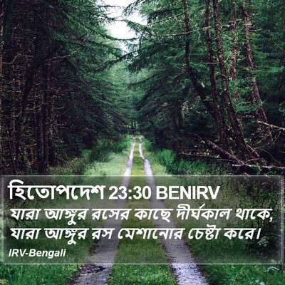 হিতোপদেশ 23:30 BENIRV Bible Verse Image