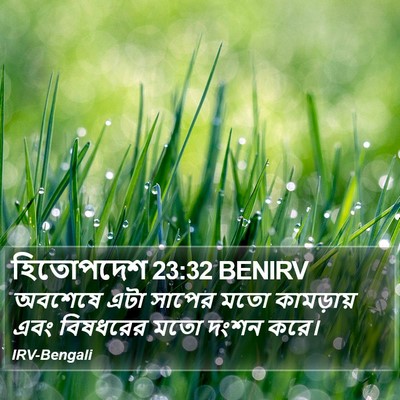 হিতোপদেশ 23:32 BENIRV Bible Verse Image