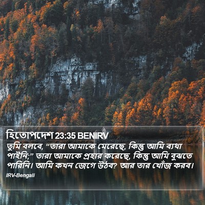 হিতোপদেশ 23:35 BENIRV Bible Verse Image