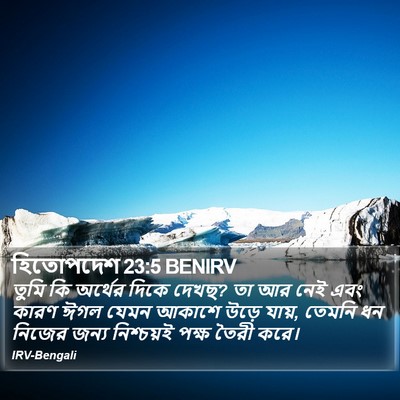 হিতোপদেশ 23:5 BENIRV Bible Verse Image
