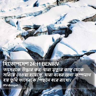 হিতোপদেশ 24:11 BENIRV Bible Verse Image