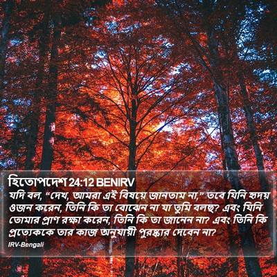 হিতোপদেশ 24:12 BENIRV Bible Verse Image