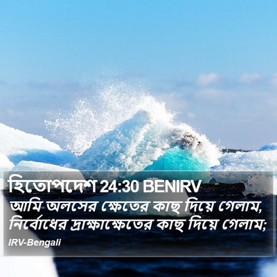 হিতোপদেশ 24:30 BENIRV Bible Verse Image