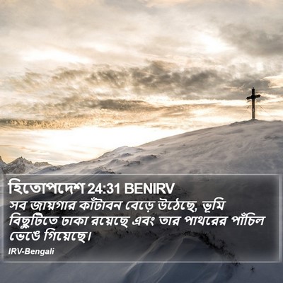 হিতোপদেশ 24:31 BENIRV Bible Verse Image