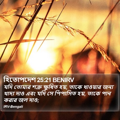 হিতোপদেশ 25:21 BENIRV Bible Verse Image
