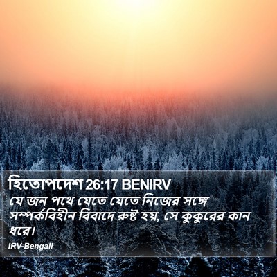 হিতোপদেশ 26:17 BENIRV Bible Verse Image