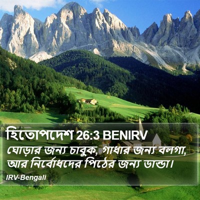 হিতোপদেশ 26:3 BENIRV Bible Verse Image