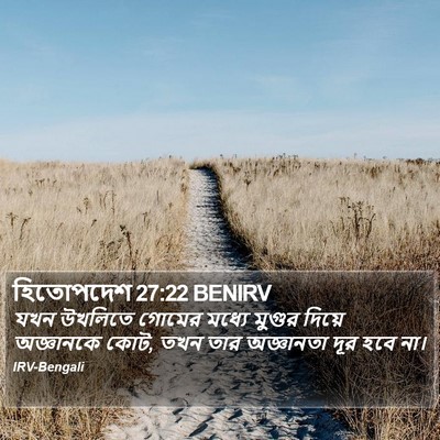 হিতোপদেশ 27:22 BENIRV Bible Verse Image