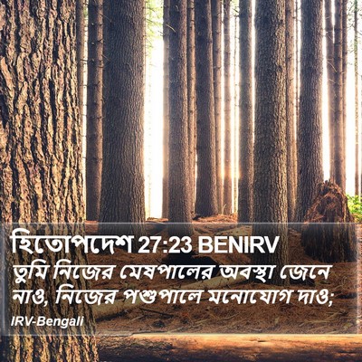 হিতোপদেশ 27:23 BENIRV Bible Verse Image