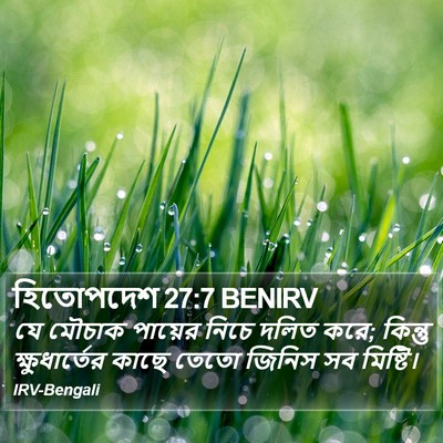 হিতোপদেশ 27:7 BENIRV Bible Verse Image