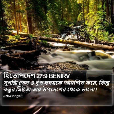 হিতোপদেশ 27:9 BENIRV Bible Verse Image