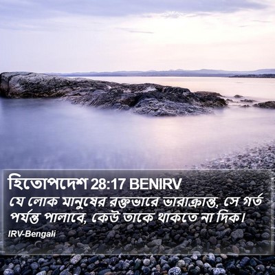 হিতোপদেশ 28:17 BENIRV Bible Verse Image