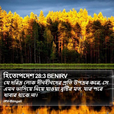 হিতোপদেশ 28:3 BENIRV Bible Verse Image