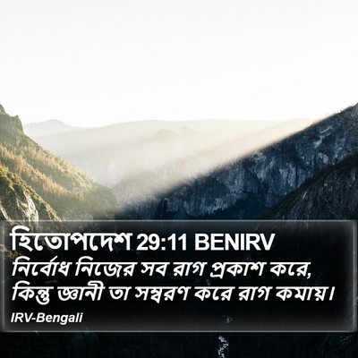 হিতোপদেশ 29:11 BENIRV Bible Verse Image