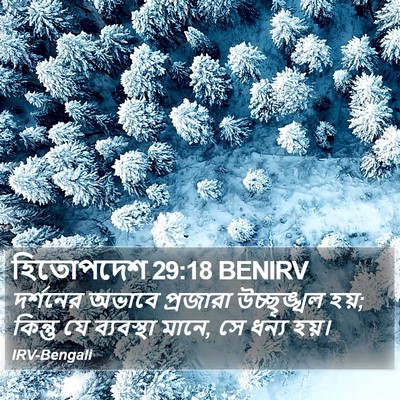হিতোপদেশ 29:18 BENIRV Bible Verse Image