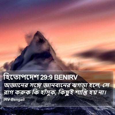 হিতোপদেশ 29:9 BENIRV Bible Verse Image