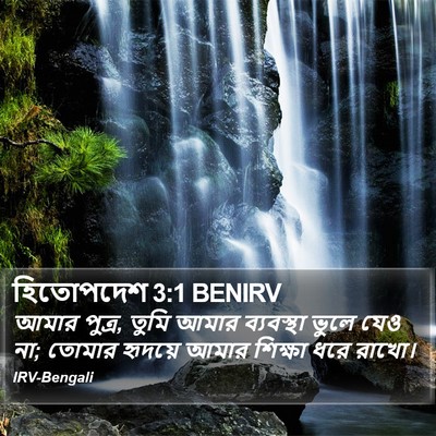 হিতোপদেশ 3:1 BENIRV Bible Verse Image