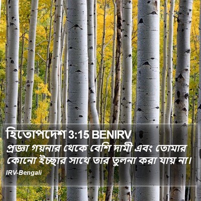 হিতোপদেশ 3:15 BENIRV Bible Verse Image