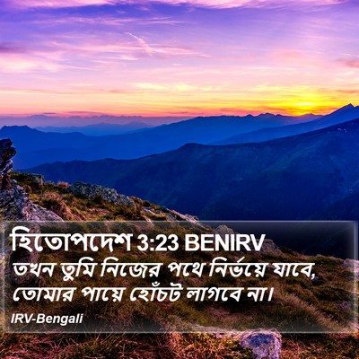 হিতোপদেশ 3:23 BENIRV Bible Verse Image