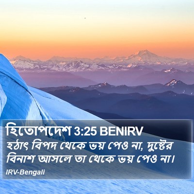 হিতোপদেশ 3:25 BENIRV Bible Verse Image