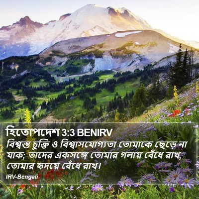 হিতোপদেশ 3:3 BENIRV Bible Verse Image