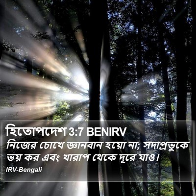 হিতোপদেশ 3:7 BENIRV Bible Verse Image