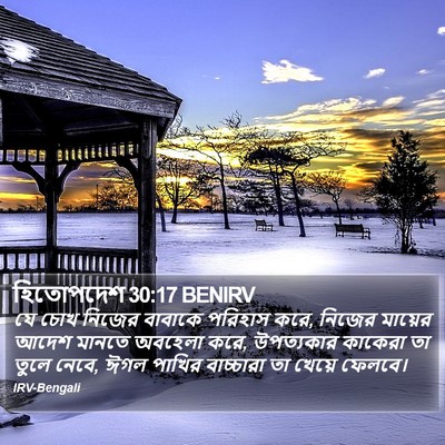 হিতোপদেশ 30:17 BENIRV Bible Verse Image