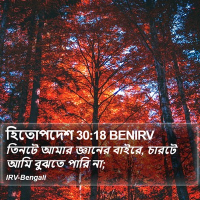 হিতোপদেশ 30:18 BENIRV Bible Verse Image