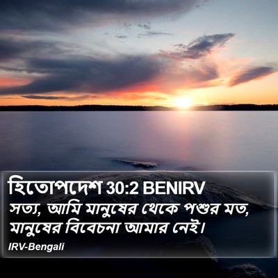 হিতোপদেশ 30:2 BENIRV Bible Verse Image