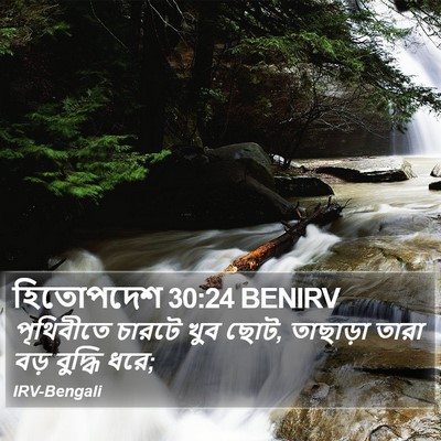 হিতোপদেশ 30:24 BENIRV Bible Verse Image