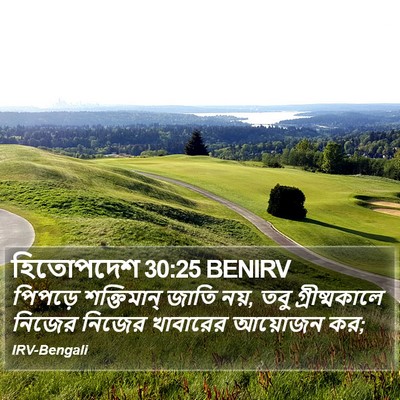 হিতোপদেশ 30:25 BENIRV Bible Verse Image
