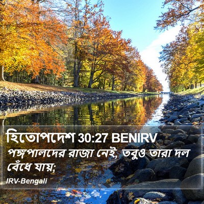 হিতোপদেশ 30:27 BENIRV Bible Verse Image
