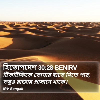 হিতোপদেশ 30:28 BENIRV Bible Verse Image