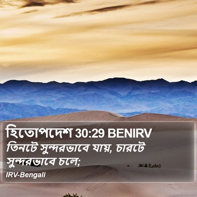 হিতোপদেশ 30:29 BENIRV Bible Verse Image