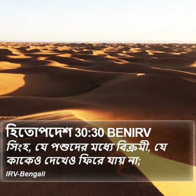 হিতোপদেশ 30:30 BENIRV Bible Verse Image