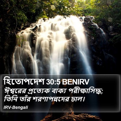হিতোপদেশ 30:5 BENIRV Bible Verse Image
