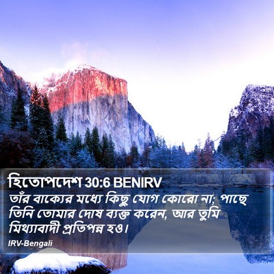 হিতোপদেশ 30:6 BENIRV Bible Verse Image