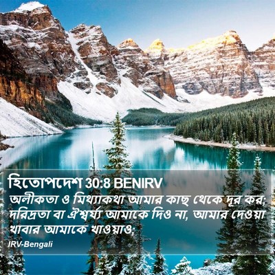 হিতোপদেশ 30:8 BENIRV Bible Verse Image