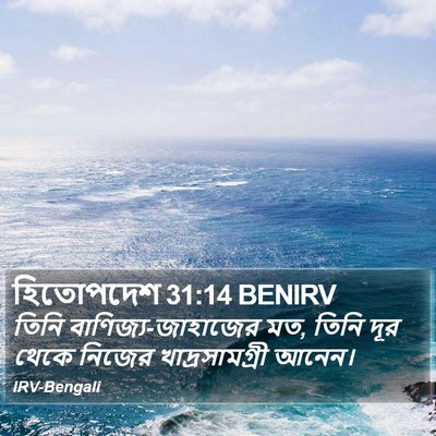 হিতোপদেশ 31:14 BENIRV Bible Verse Image