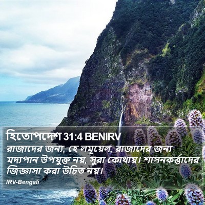 হিতোপদেশ 31:4 BENIRV Bible Verse Image