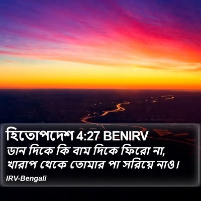 হিতোপদেশ 4:27 BENIRV Bible Verse Image