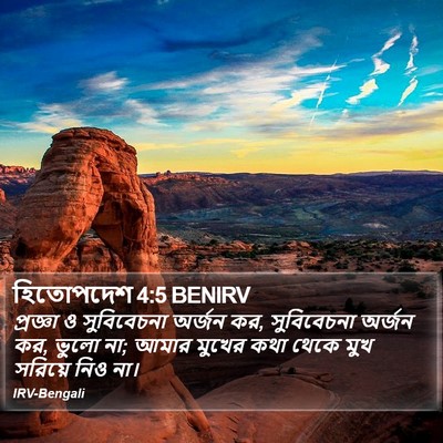 হিতোপদেশ 4:5 BENIRV Bible Verse Image