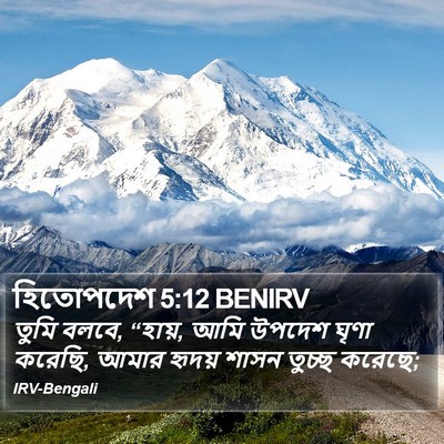 হিতোপদেশ 5:12 BENIRV Bible Verse Image