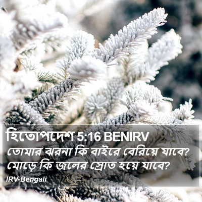 হিতোপদেশ 5:16 BENIRV Bible Verse Image