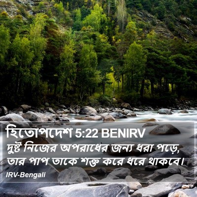 হিতোপদেশ 5:22 BENIRV Bible Verse Image