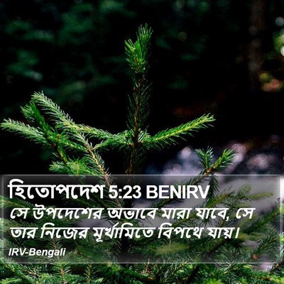 হিতোপদেশ 5:23 BENIRV Bible Verse Image