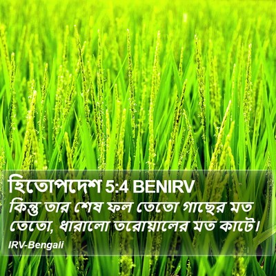 হিতোপদেশ 5:4 BENIRV Bible Verse Image