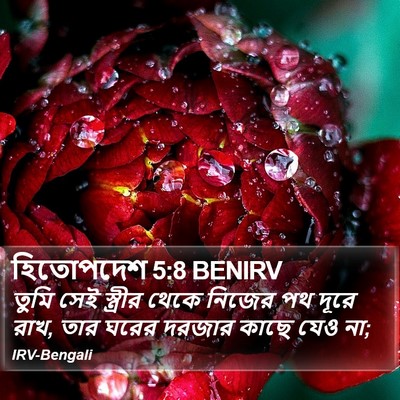 হিতোপদেশ 5:8 BENIRV Bible Verse Image