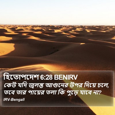 হিতোপদেশ 6:28 BENIRV Bible Verse Image
